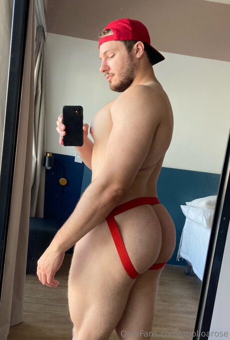 Apolloarose free model image