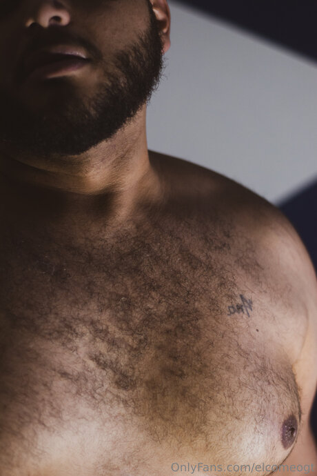 Elcomeogt top star image