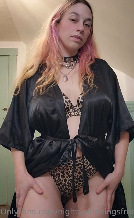 Nightspiritwingsfree pornstar top image