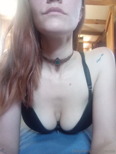 Pauda star high quality pictures