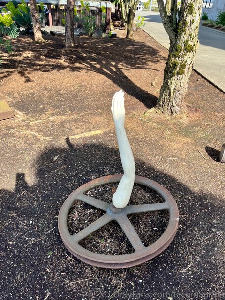 Tacomaarms sex star gallery