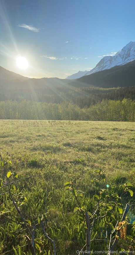 Seward Streamz pornstar free img