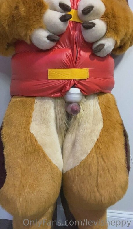 levisheppy star pornographic archive