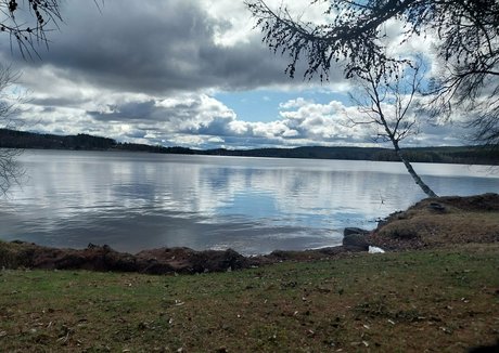 softchili xxx star gallery