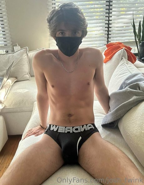 josh twink art pornstar image