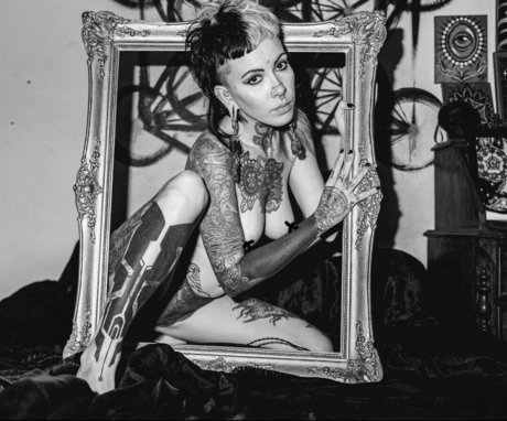 Calopsyco art star photos