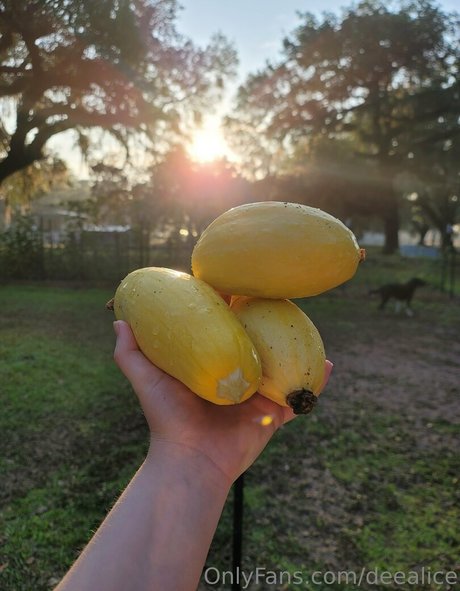 deealice art pornstar galleries