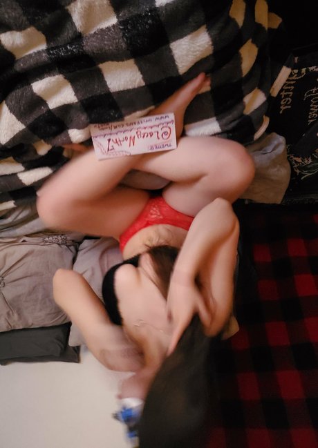 laceynorth Profile pic