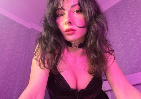 Anysaylobe art star photos