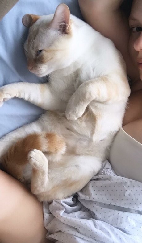 gbrllareis Profile pic