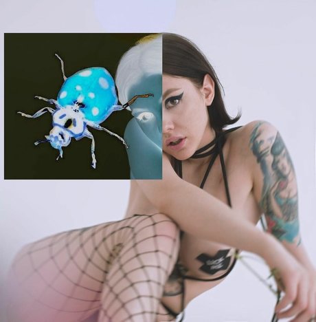 ahahahaaah exclusive star galleries