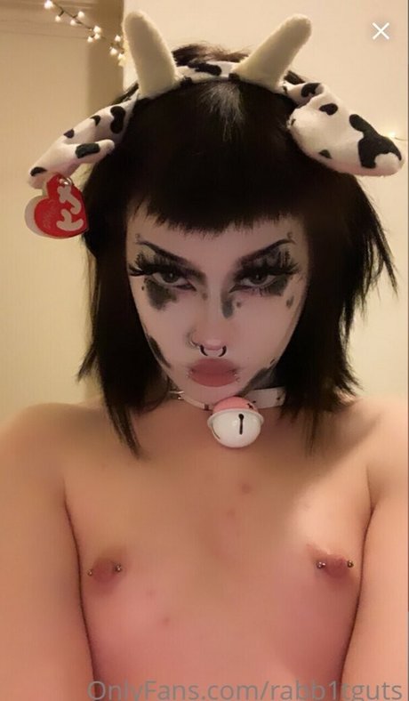 rabb1tguts sexy pornstar archive