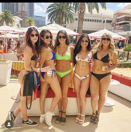 Therese Hollandd best pornstar image