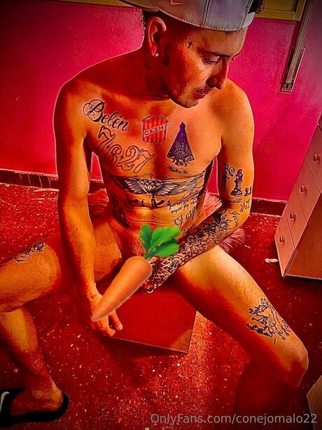 Conejomalo22 star porn pic