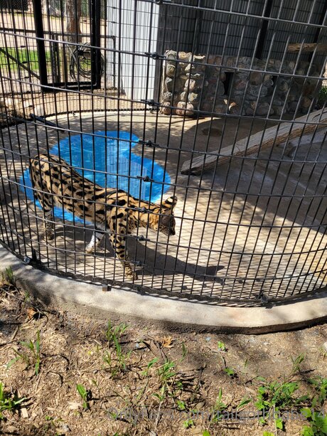 Tallgothbabe14 top actress gallery