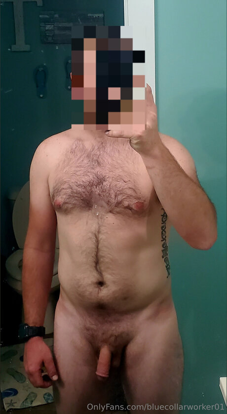 Bluecollarworker01 pornographic star gallery