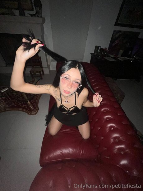 Petitefiesta perfect pornstar image