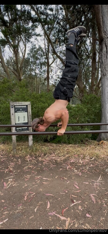 S1monpetrikov model perfect images