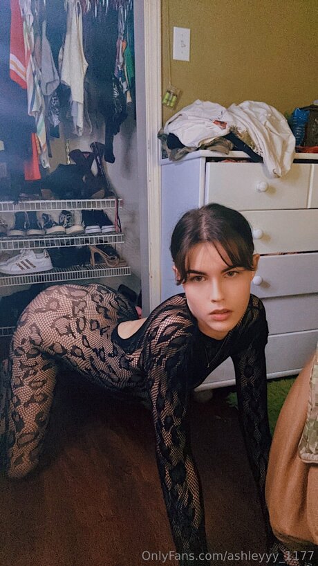 Ashleyyy 1177 erotic star gallery