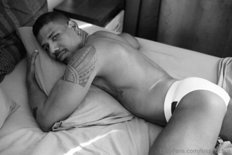 Lospiluchos pornographic actress img