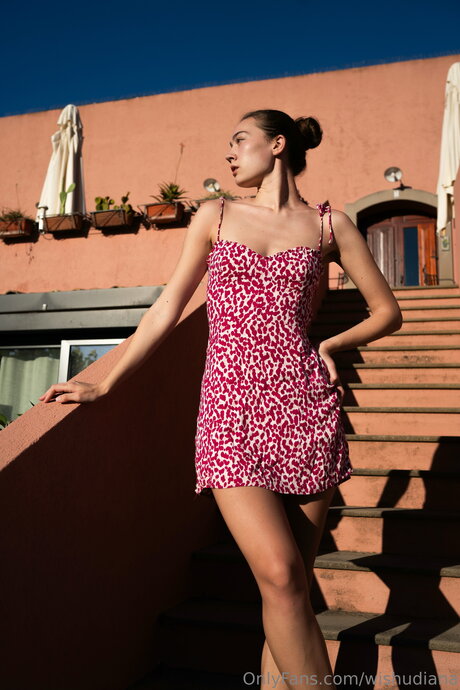 Wishudiana top star gallery