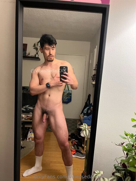 Vibesxxx pornstar hot pics