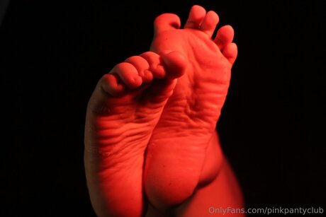 Pinkpantyclub art pornstar image