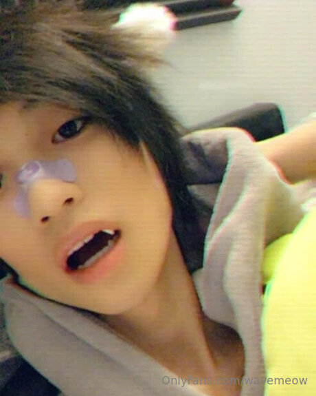 Wavemeow porn star archive