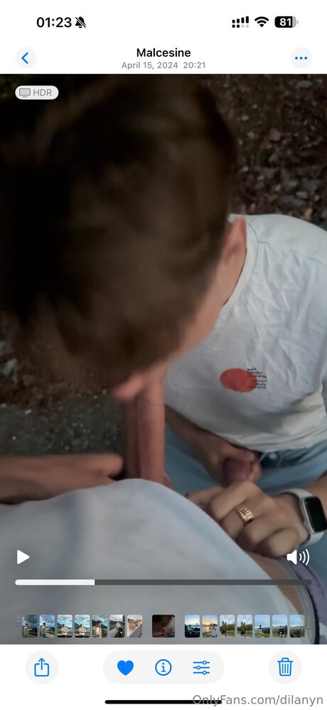 Dilanyn nice pornstar picture