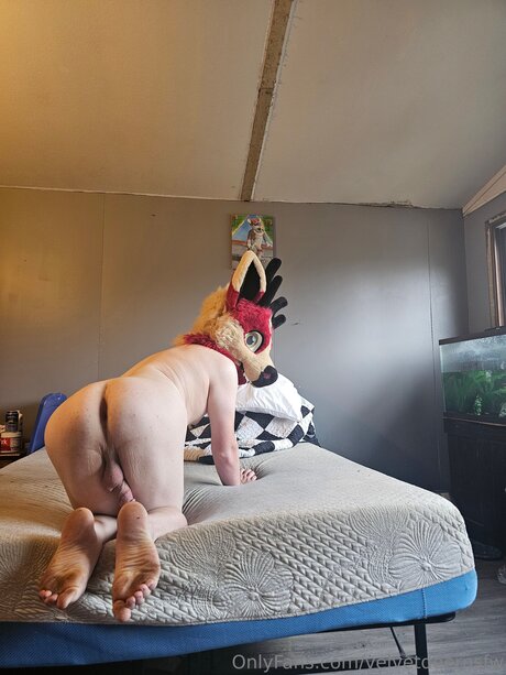 Velvetdeernsfw pornstar beautiful picture