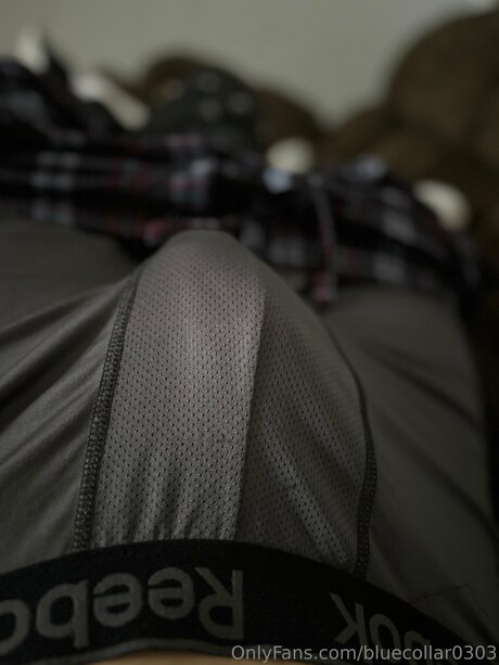 Bluecollar0303 pornstar perfect images