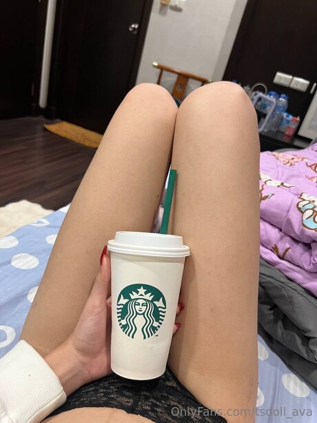 Tsdoll Ava star pornographic pics