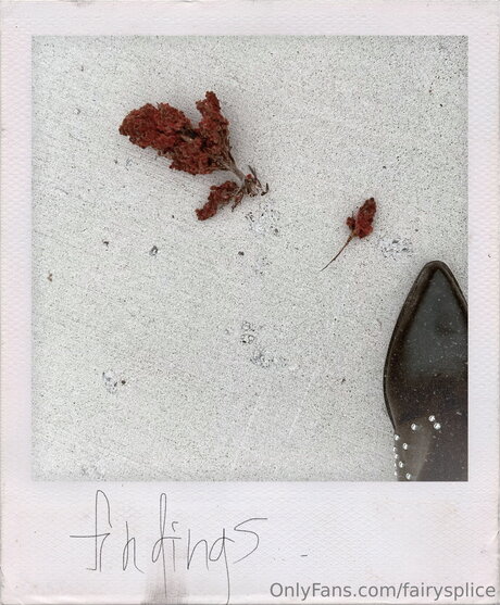 Fairysplice best model photos