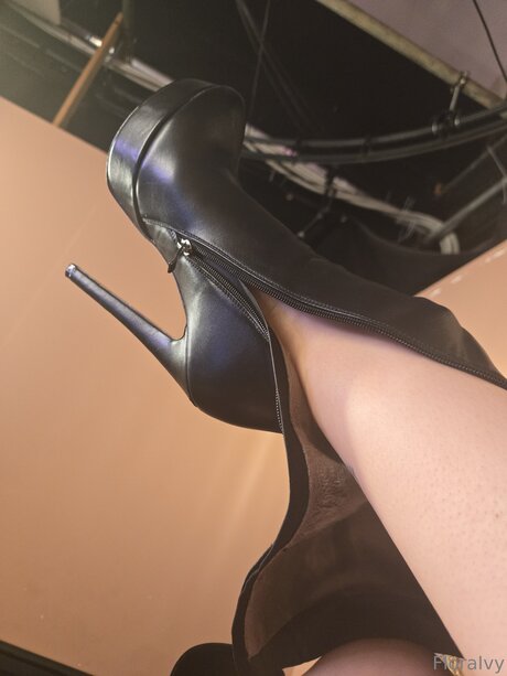 Floraivy star free photos