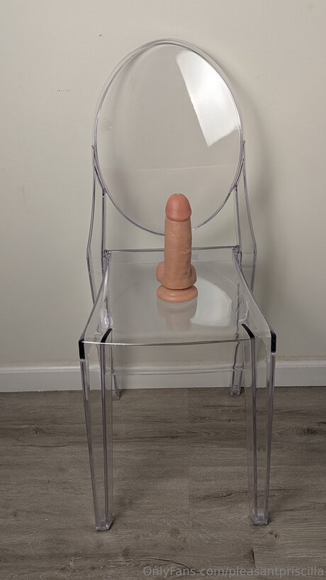 Pleasantpriscilla free pornstar archive