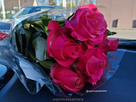 Urprincessamara star best img