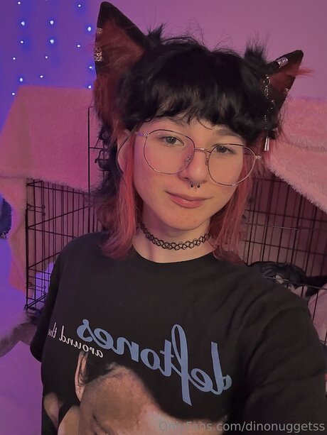 Dinonuggetss Profile pic