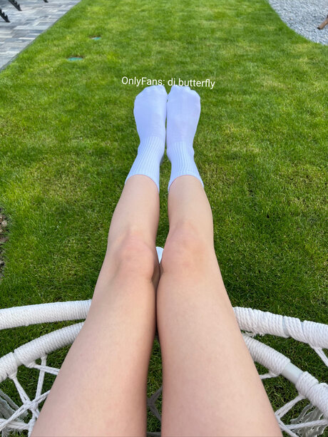 Di Butterfly star free image