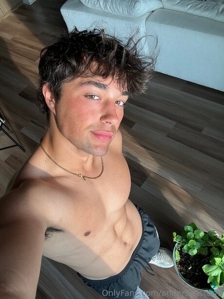 Andersonstorm star pornographic picture