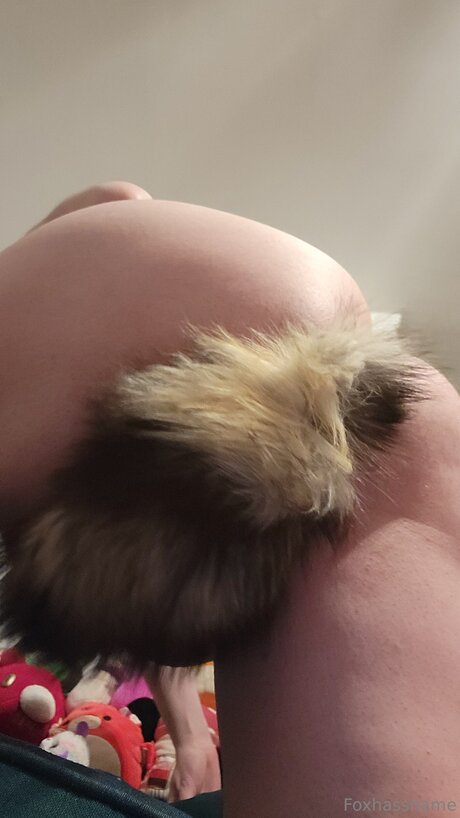 Foxhasshame model hot image