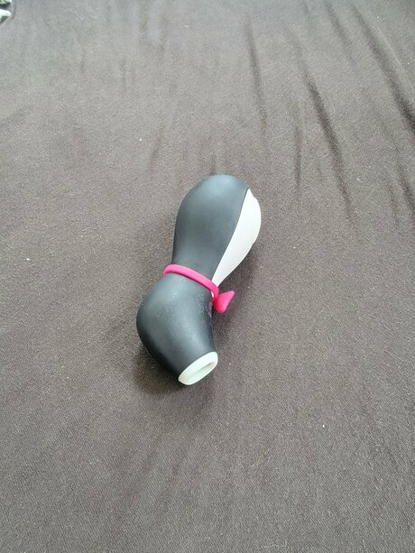 Foxhasshame star sex pictures