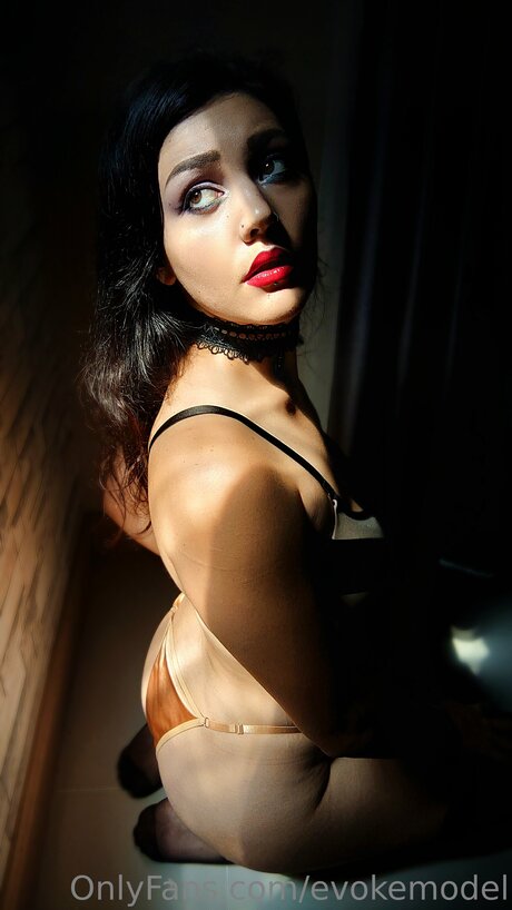 Evokemodel model pic