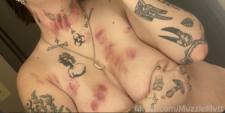 Fairhopeherps star beautiful image