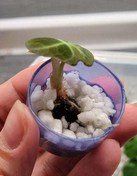 momgenes22 pornstar best photos