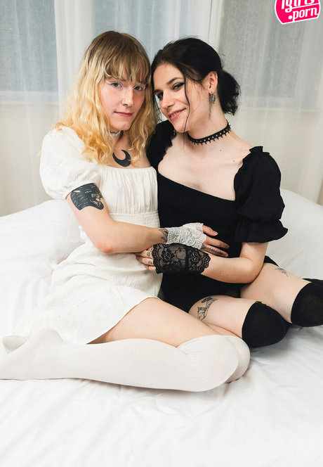 Willow Astilbe hot star galleries