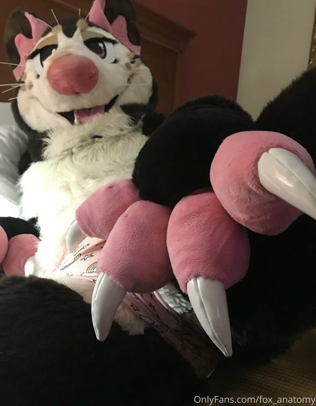 fox anatomy pretty pornstar archive