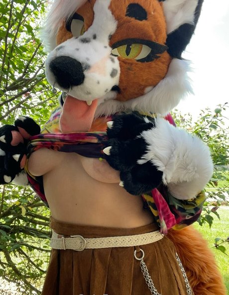 fox anatomy star hd img