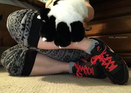 fox anatomy pornstar top images