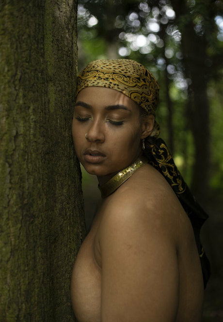 schuggamamabbb sex pornstar gallery