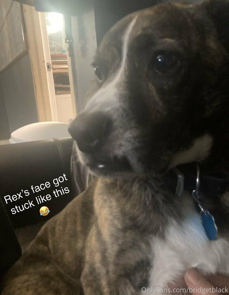 bridgetblack star high quality galleries